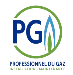 Professionnalisme