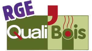 Professionnalisme