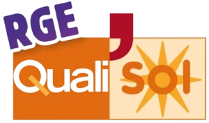 Professionnalisme